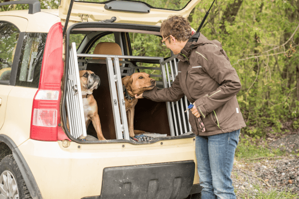 Dogs-Cage-Car-Emergency-Evacuation-Texas-Humane-Heroes