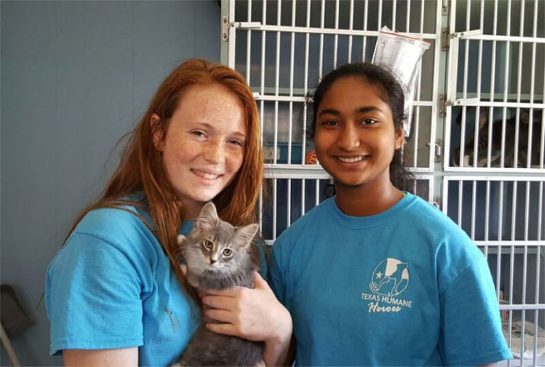 Offsite Pet Adoptions Texas Humane Heroes