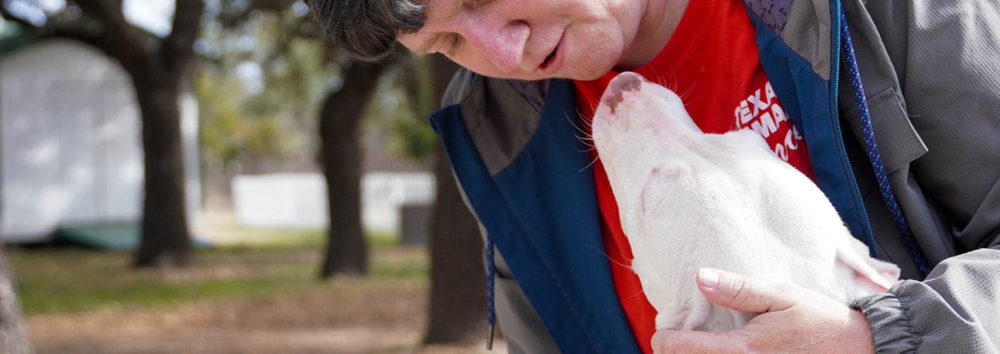 Our 14Day Promise Texas Humane Heroes