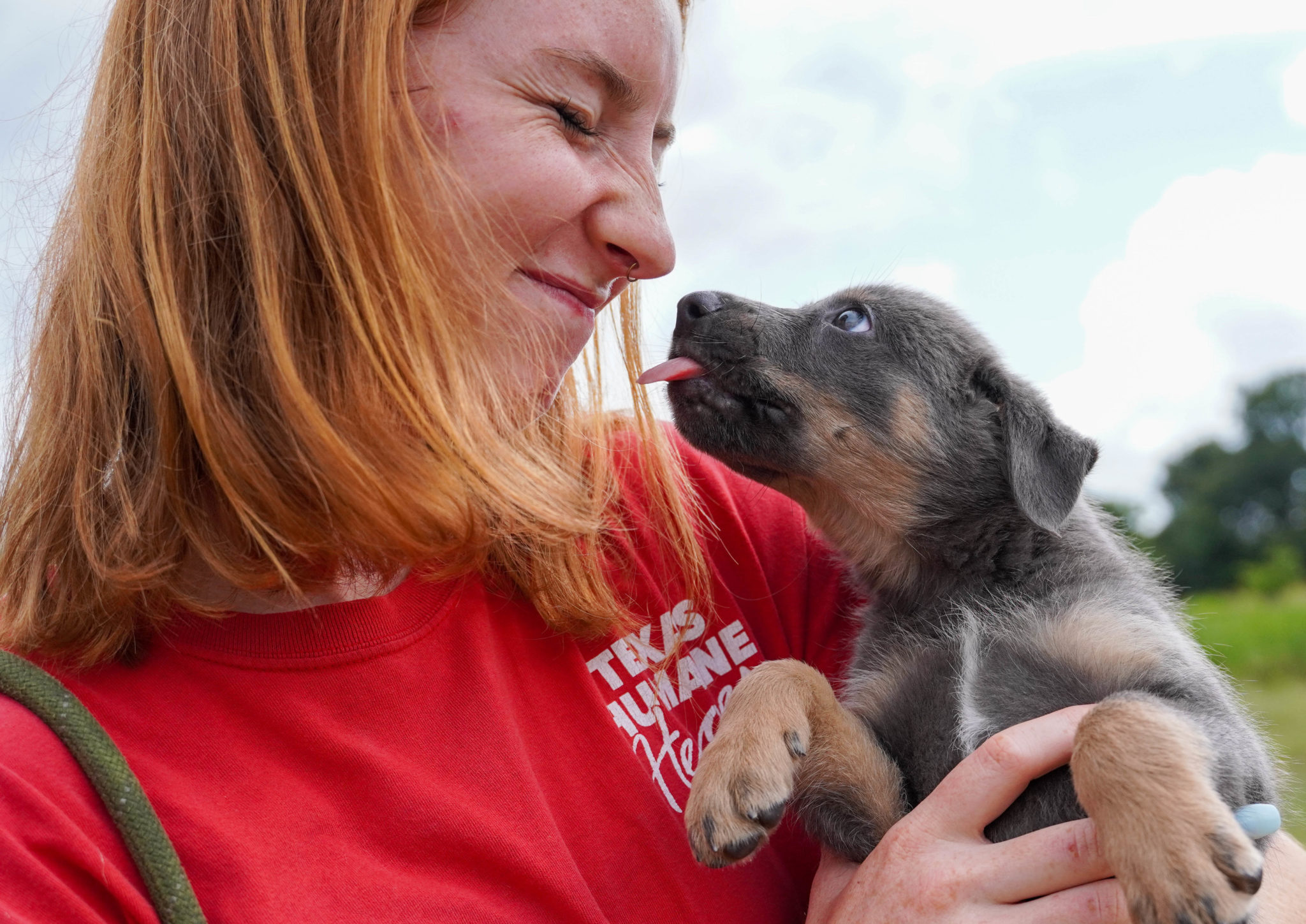 Join Our Team Texas Humane Heroes