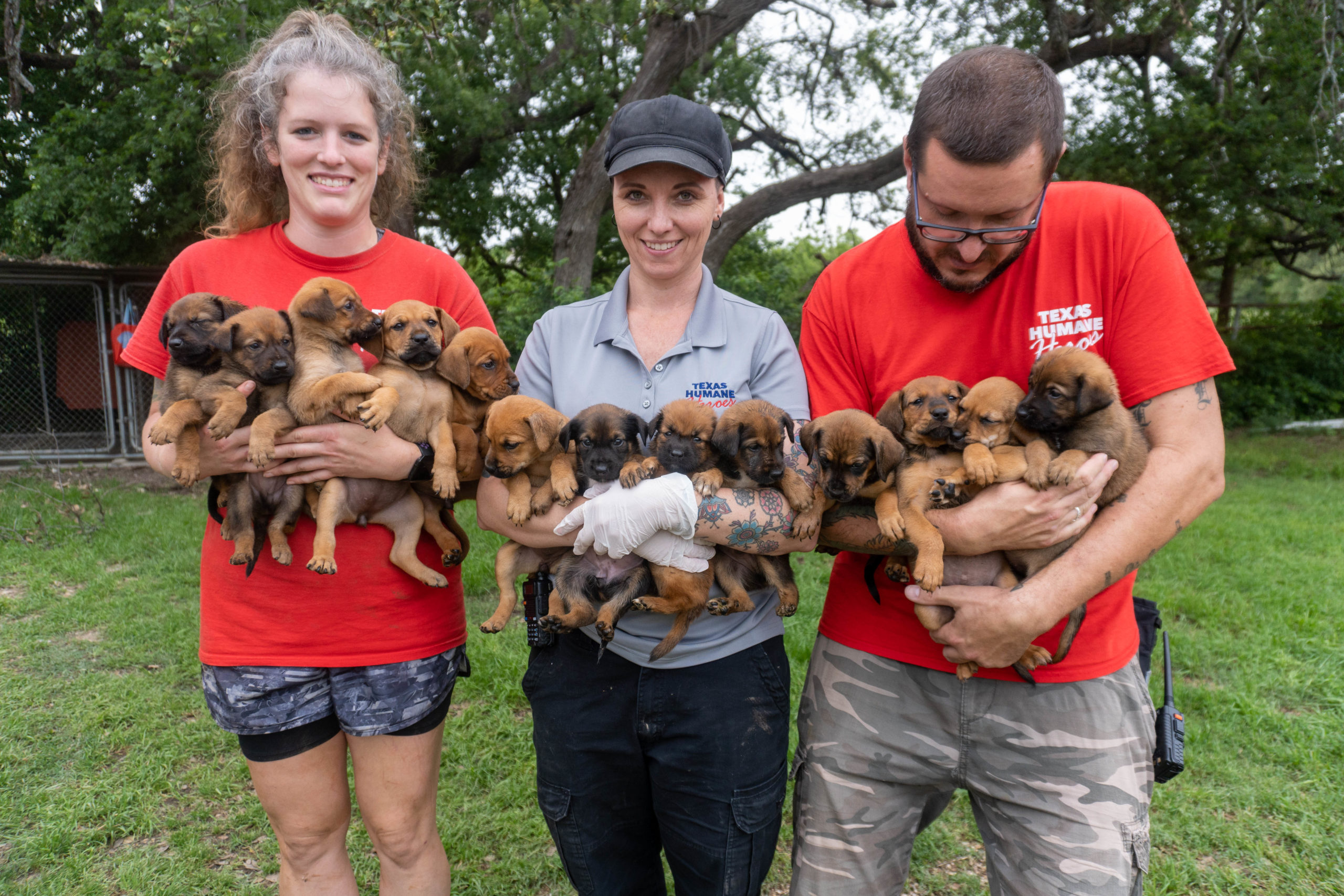 Prepare for NATIONAL ADOPTION WEEK, JULY 1925, 2021! Texas Humane Heroes