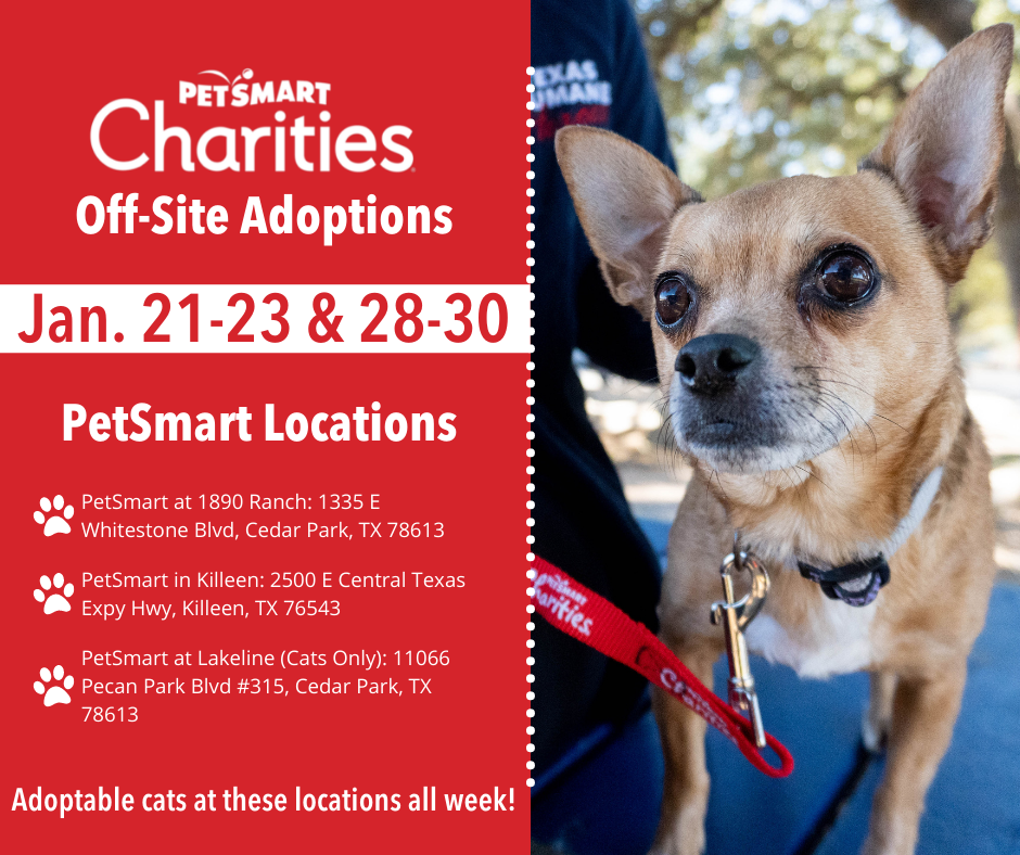 DOG and CAT Adoption Event at PetSmart in Alexandria