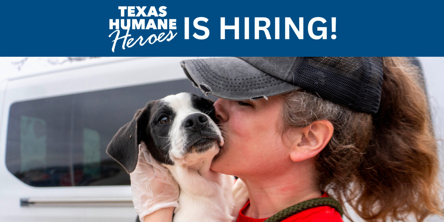 Texas Humane Heroes Jobs Hiring