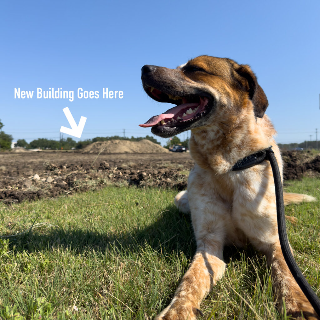 New Building Texas Humane Heroes